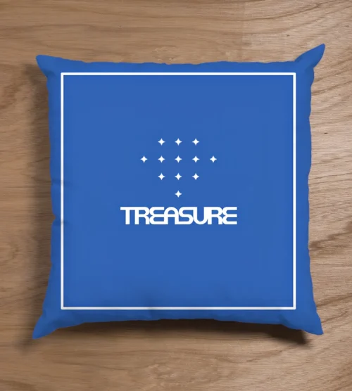 Treasure Pillow Case #1