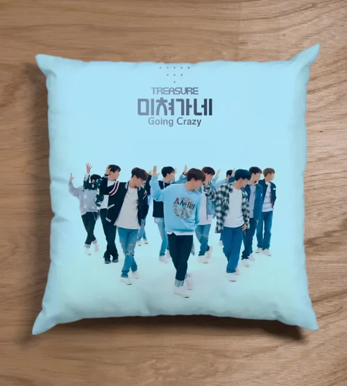 Treasure Pillow Case #2